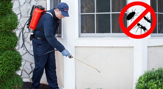 Adapazarı Akrep İlaçlama böcek ilaçlama ve haşere kontrolü — ilaclama-tr.com